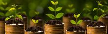 Monetary growth Monetary growth