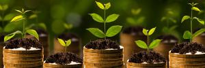 Monetary growth Monetary growth