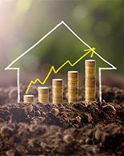 Fiscal growth Fiscal growth